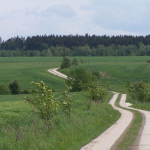 2006_0529_152504AA